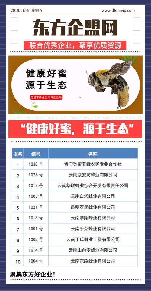 健康好蜜，源于生態(tài)——昆明市蜂業(yè)公司評(píng)選活動(dòng)信息技術(shù)咨詢(xún)服務(wù)方案